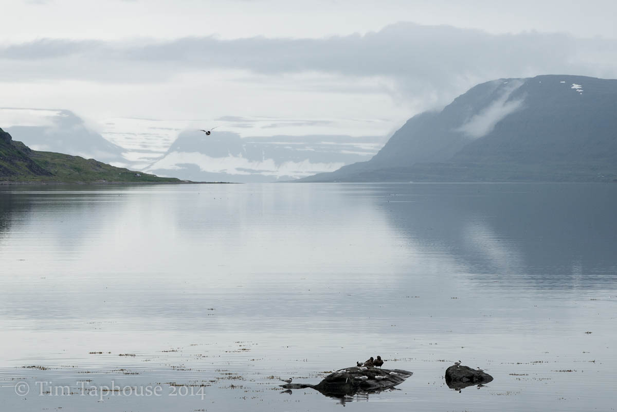 iceland-07
