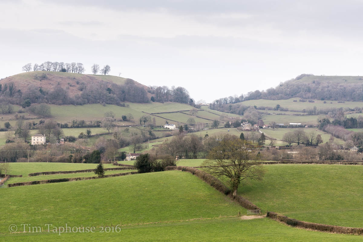 Downham Hill from the woods between Dursley and Uley
