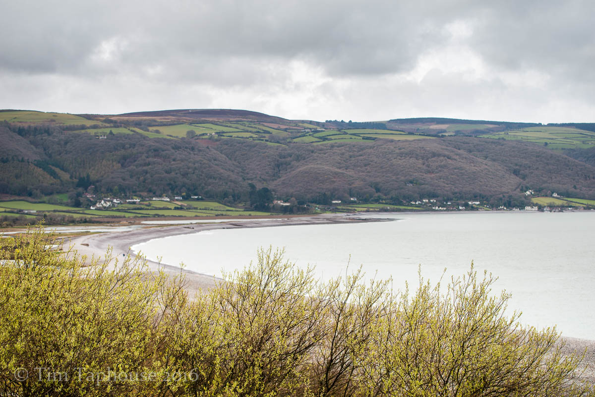 Spring leaves, with the sweep of Porlock Bay