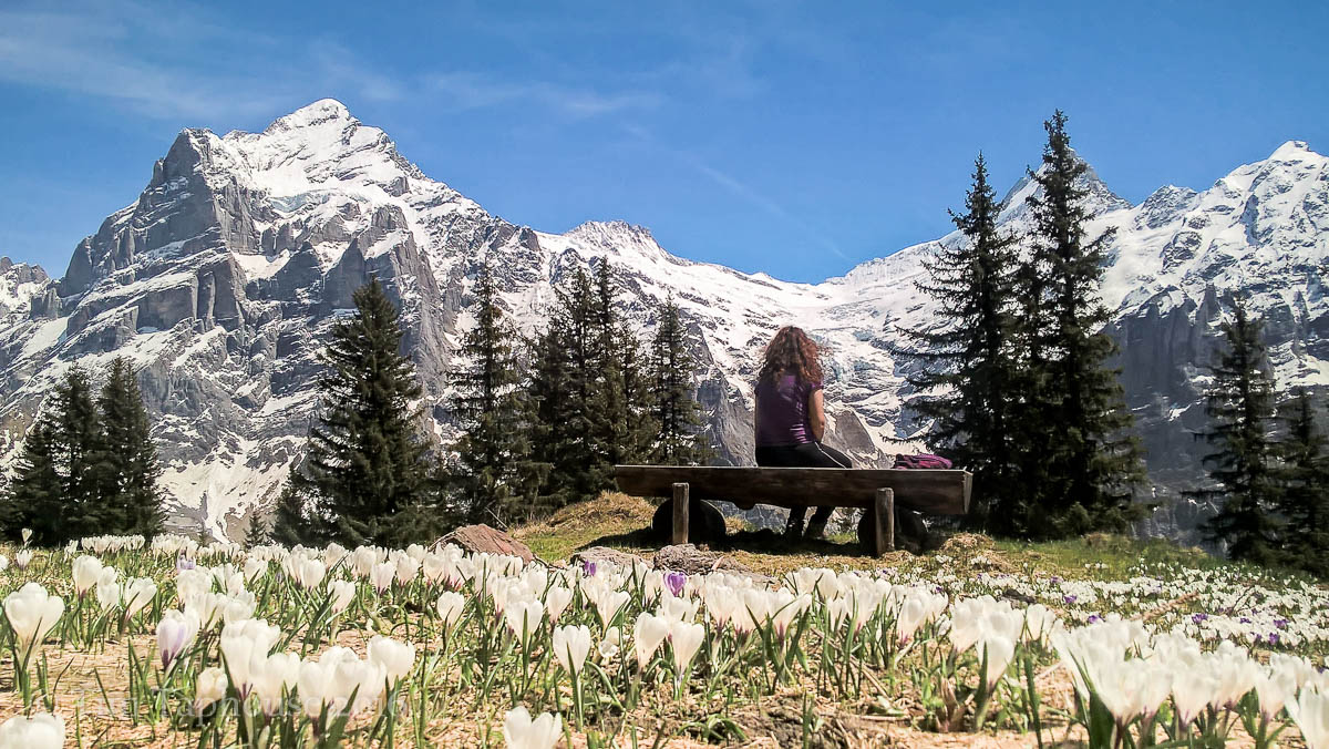 A beautiful place for a rest, the mountains towering above Grindelwald