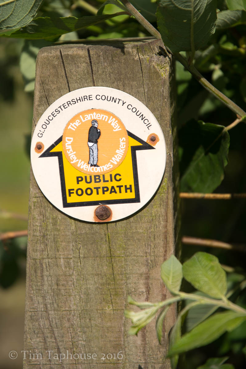 There are many Lantern Way stickers helping to mark the way