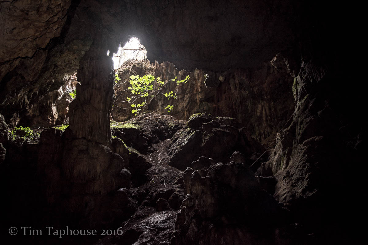 Grotta del Sughero, Zingaro