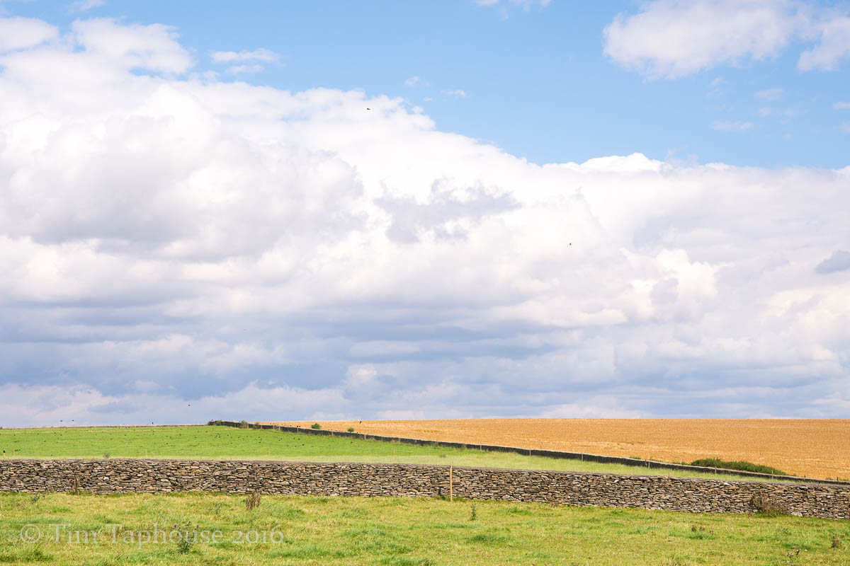 Fields near Tresham