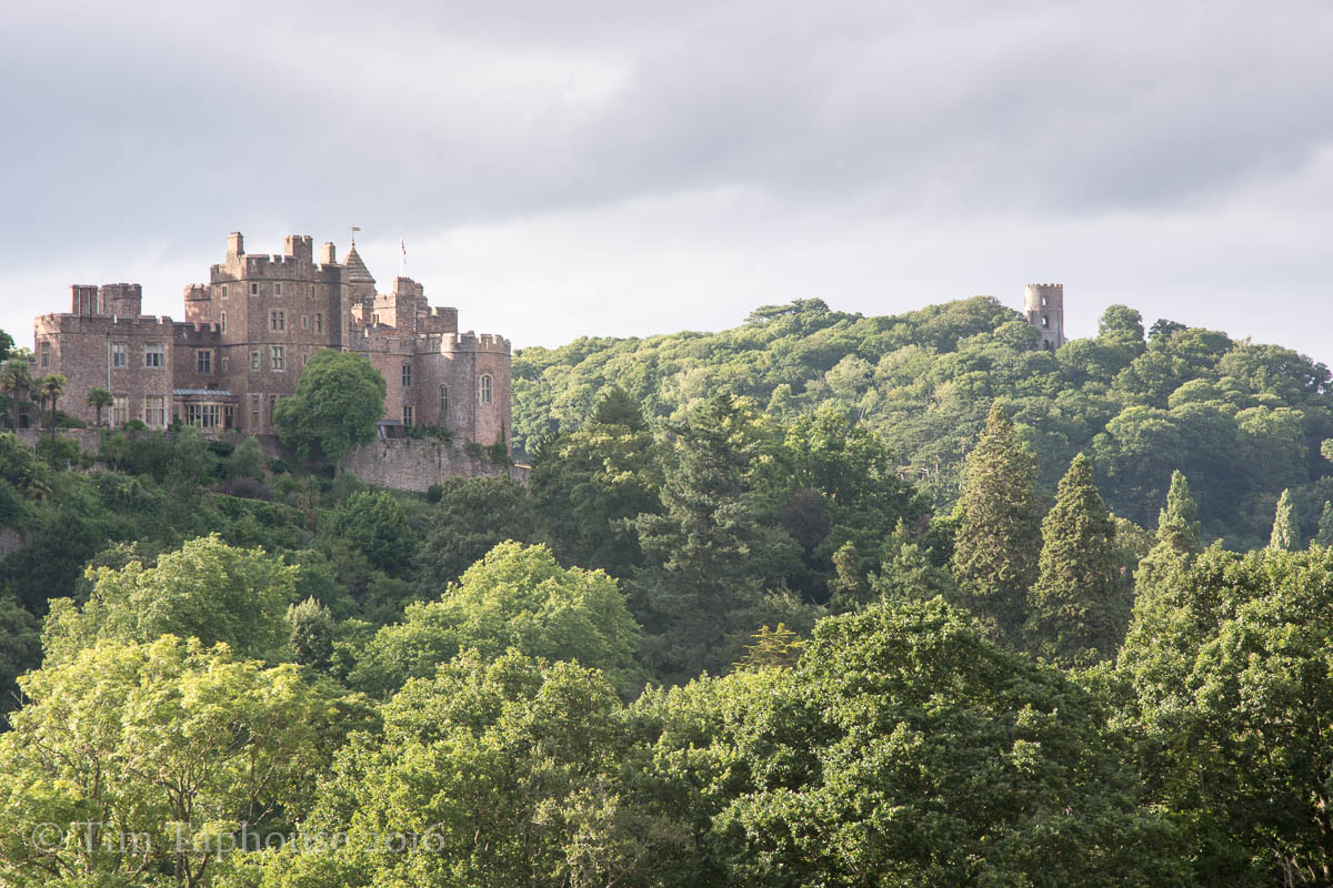 Dunster Castle and Conygar Tower, from Dunster deer park