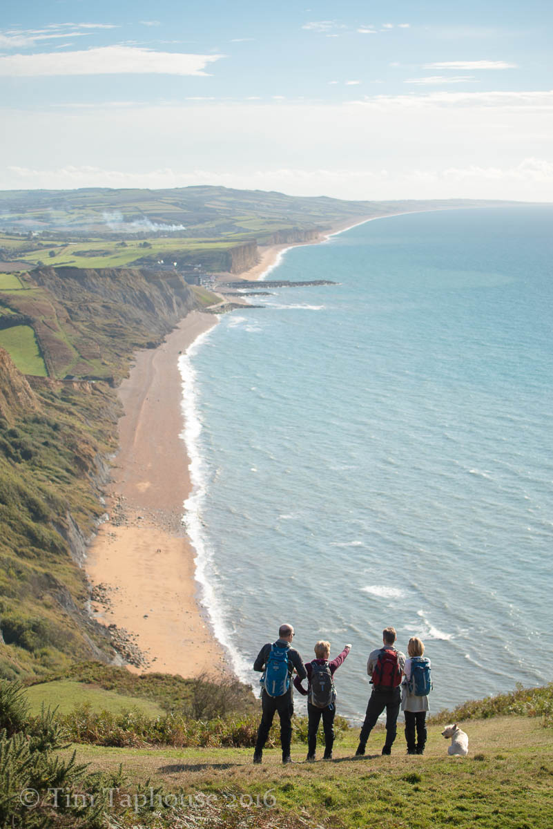 Looking back to West Bay, from Thorncombe Beacon