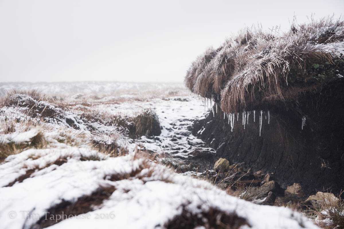 Icicles on the frozen moorland