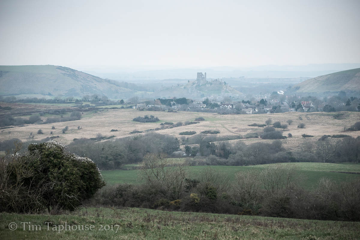 Corfe Castle in the distance at dusk