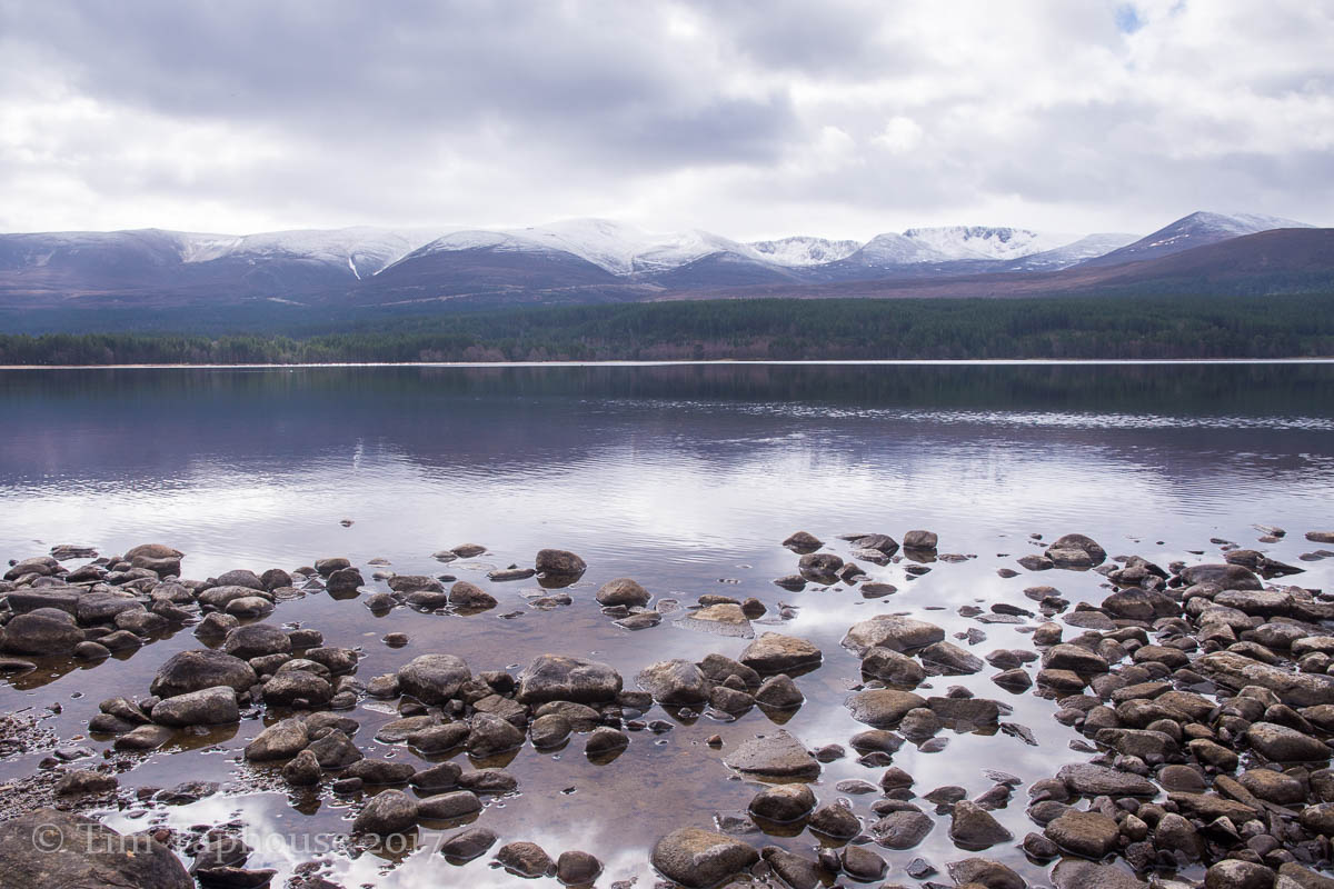 The Cairngorms, with a fresh dusting of snow, from Loch Morlich