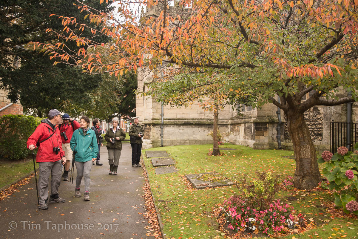 Autumn leaves in St James's Churchyard, Dursley
